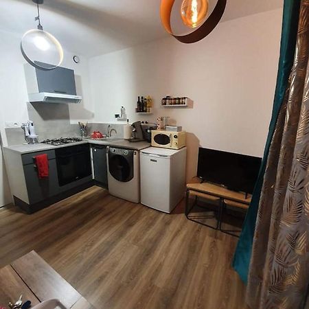Apartamento Charmant Petit F1 Tain-lʼHermitage Exterior foto