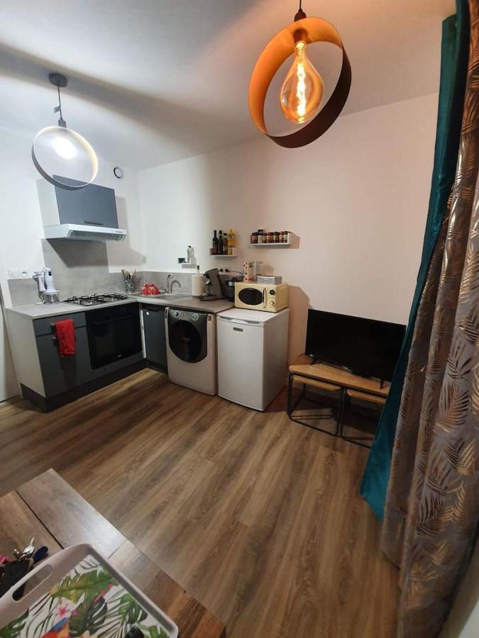 Apartamento Charmant Petit F1 Tain-lʼHermitage Exterior foto